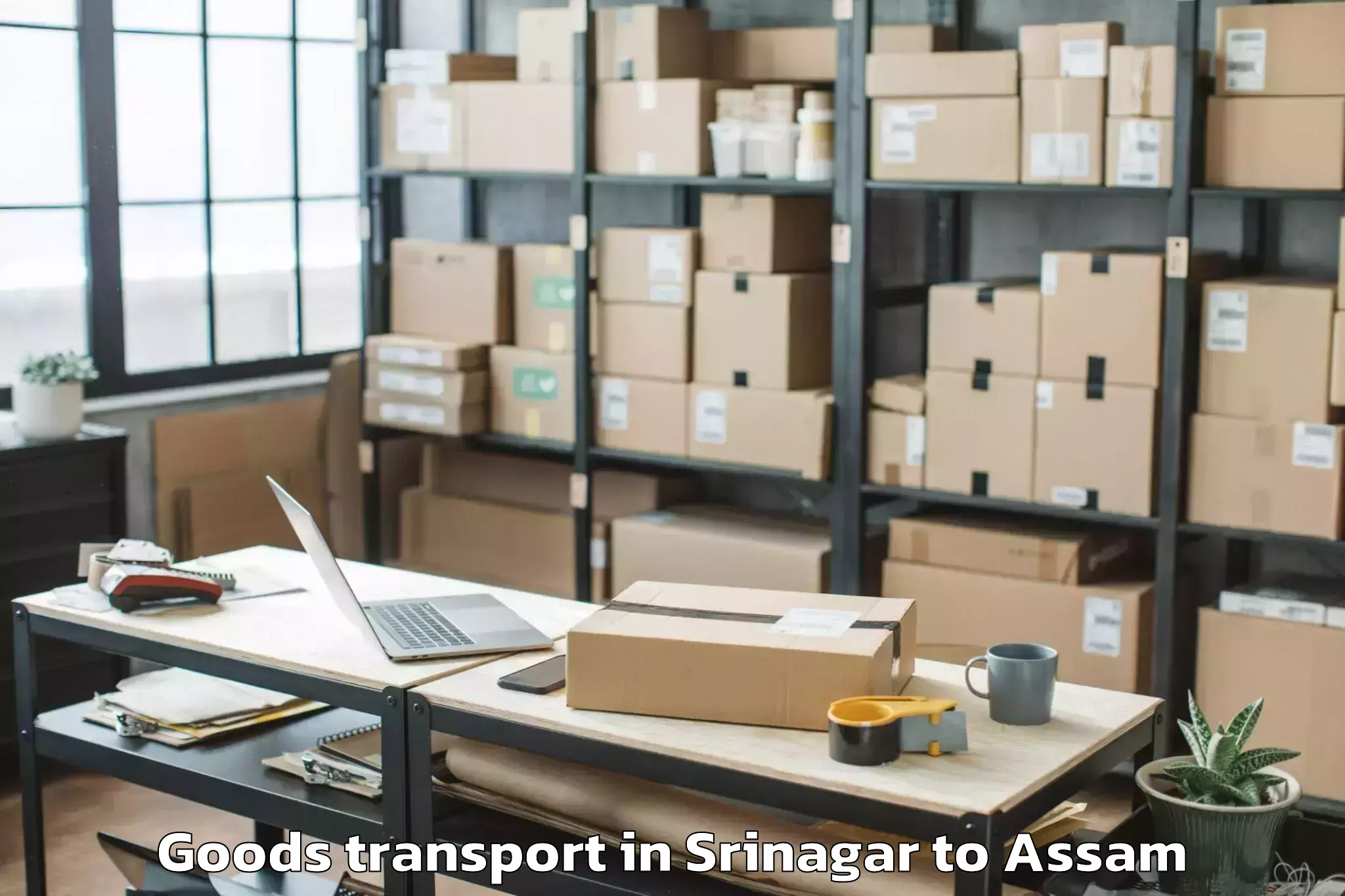 Efficient Srinagar to Balipara Goods Transport